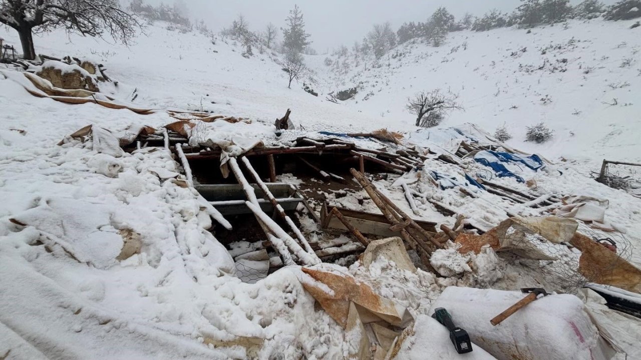 Karaman’da karın ağırlığına dayanamayan ahırın çatısı çöktü
