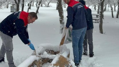 Karaman’da yaban hayvanları ve kuşlar için doğaya yem bırakıldı