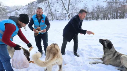 Karla kaplanan orman ve yaylalardaki canlılara şefkat eli