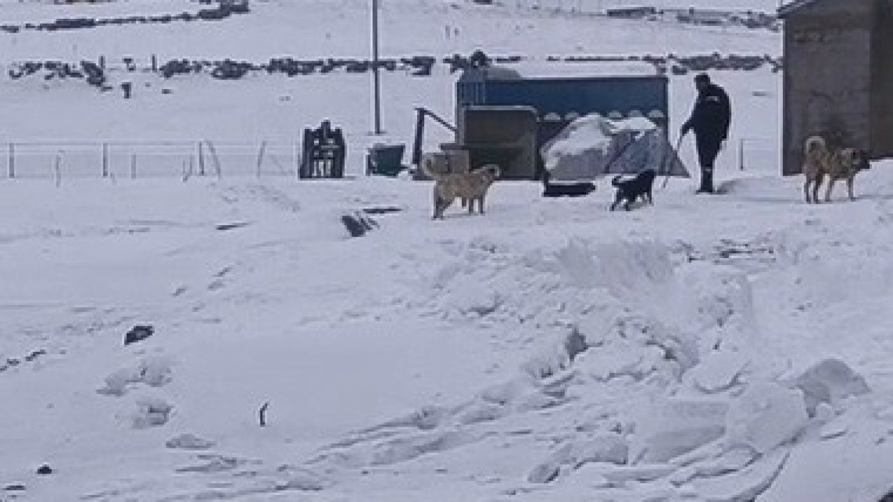 Kars’ın soğuğunda enerji mesaisi: Aras Edaş ekiplerinin soğukla imtihanı
