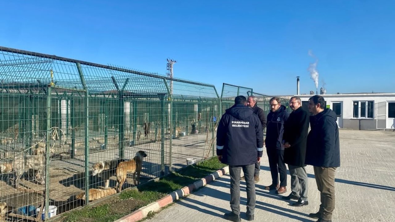 Kaymakam Özderin, Pınarhisar Geçici Hayvan Bakım ve Gözlem Merkezi’nde incelemelerde bulundu