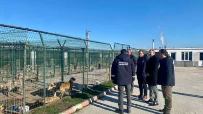 Kaymakam Özderin, Pınarhisar Geçici Hayvan Bakım ve Gözlem Merkezi’nde incelemelerde bulundu