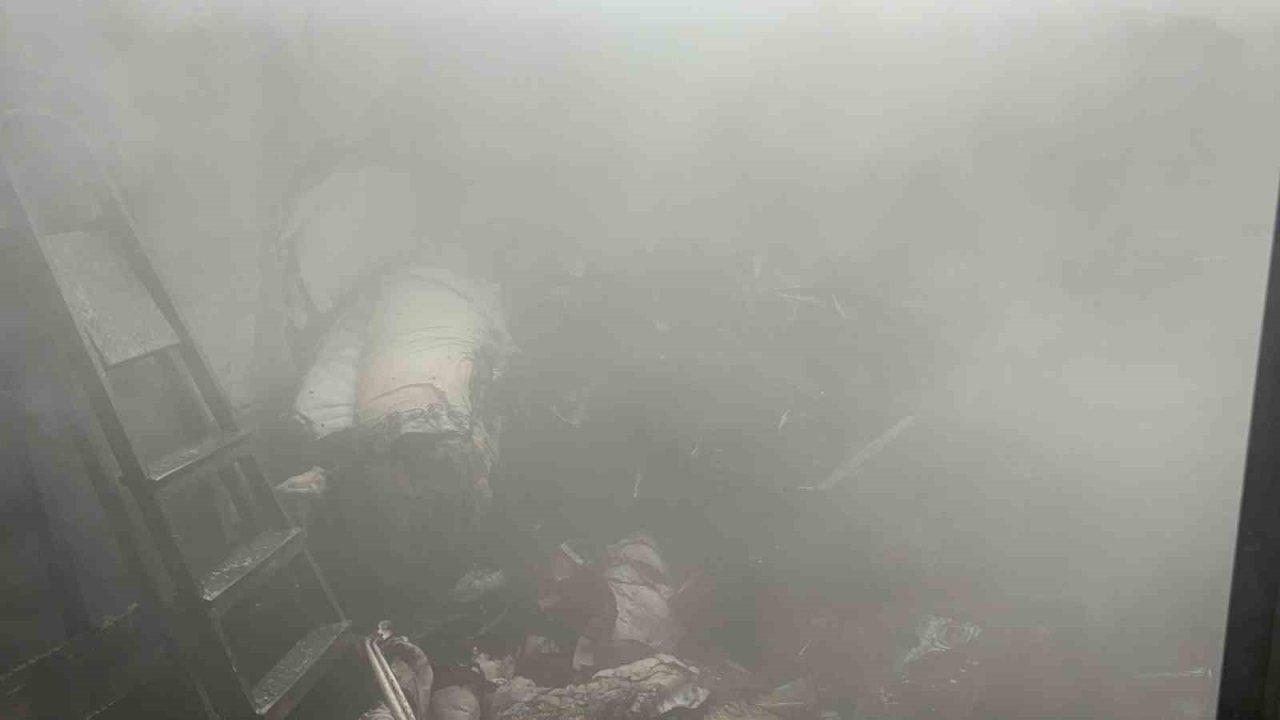 Kediler ısınsın diye kullanılan elektrikli ısıtıcı yangına sebep oldu