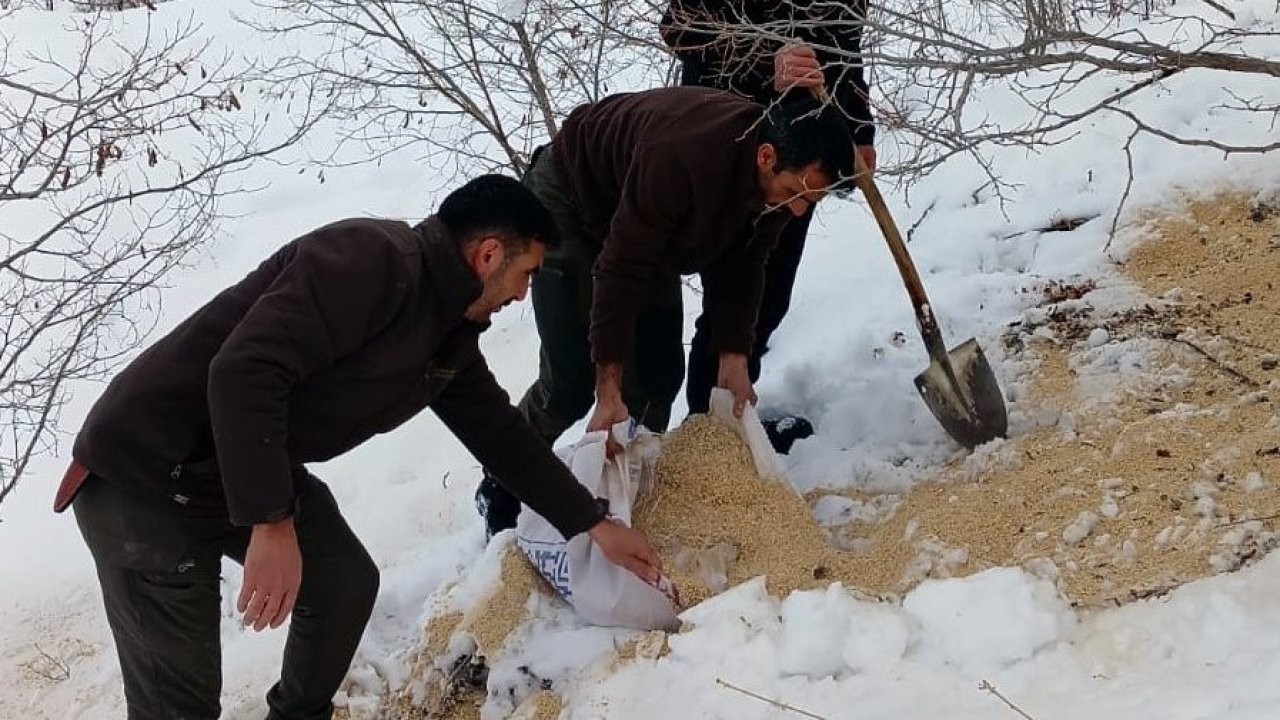 Kemah’ta yaban hayatı unutulmadı