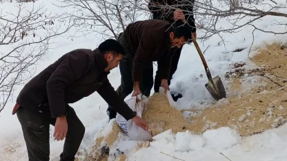 Kemah’ta yaban hayatı unutulmadı