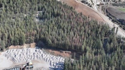 Kilis’te Akdeniz çam kabuk böceğine karşı biyoteknik mücadele