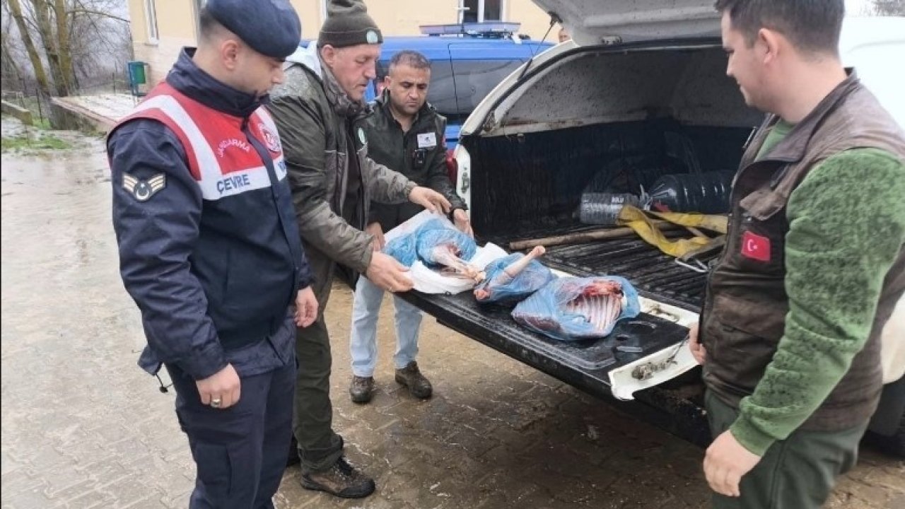 Kırklareli’de yasa dışı karaca avına ağır ceza