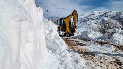 Kırsal mahallelerde karla mücadele devam ediyor
