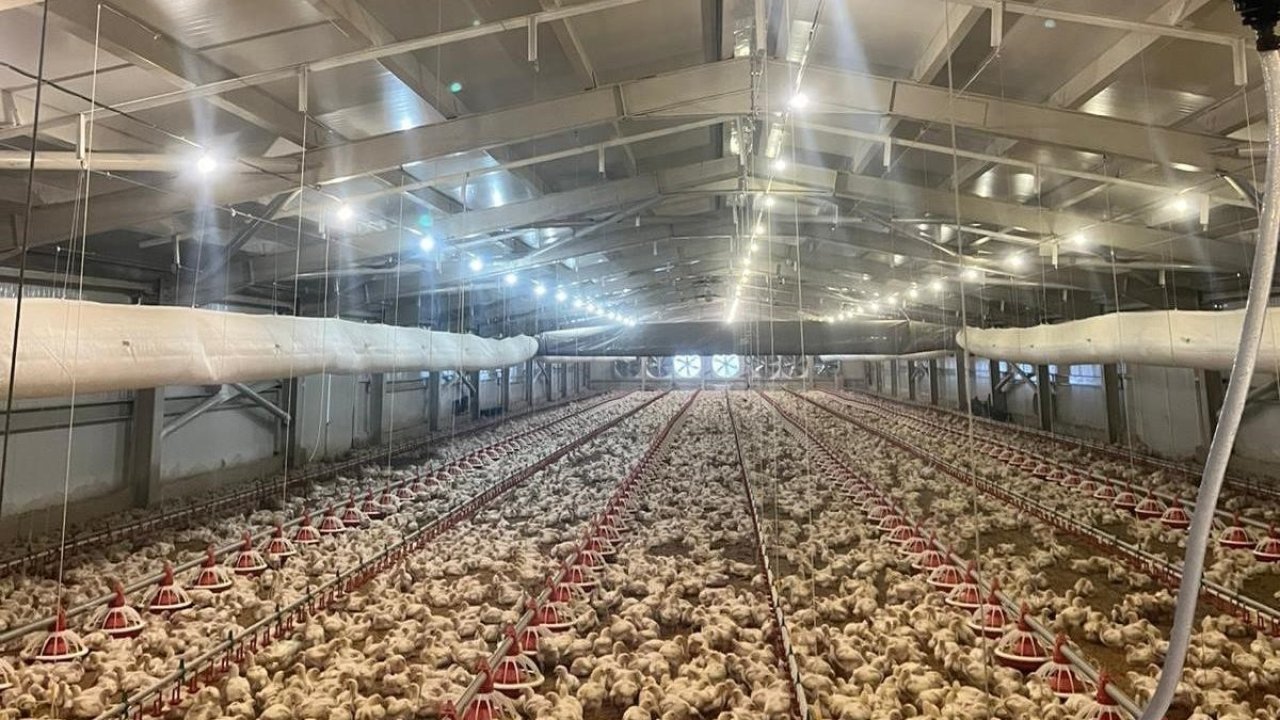 Kırsalda üretime 33,6 milyon liralık can suyu