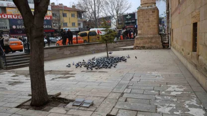 Kırşehir’de tarihi Kapucu Camii güvercinlerin yuvası oldu