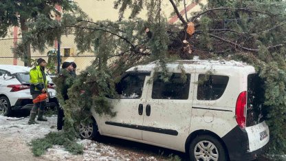 Kökünden sökülen ağaç park halindeki aracın üzerine devrildi