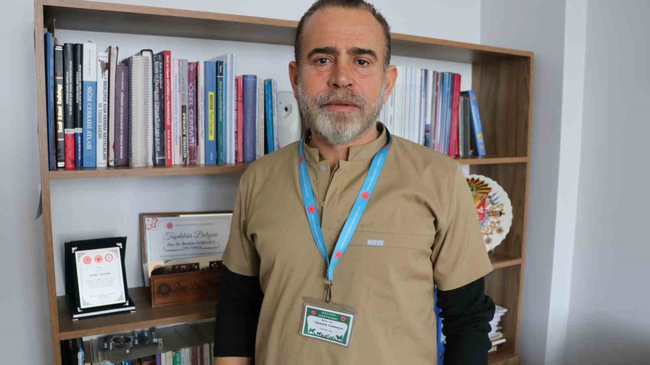 Kontrolsüz bırakılan gıdalar kurtların dengesini bozdu, kurtlar yerleşim yerlerine inmeye başladı