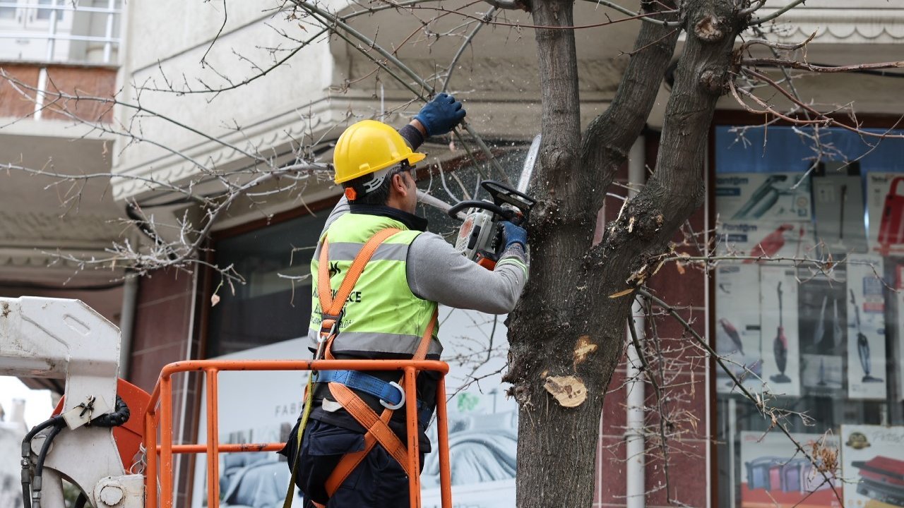 Küçükçekmece’de budanan ağaçlar, ihtiyaç sahiplerine yakacak oluyor