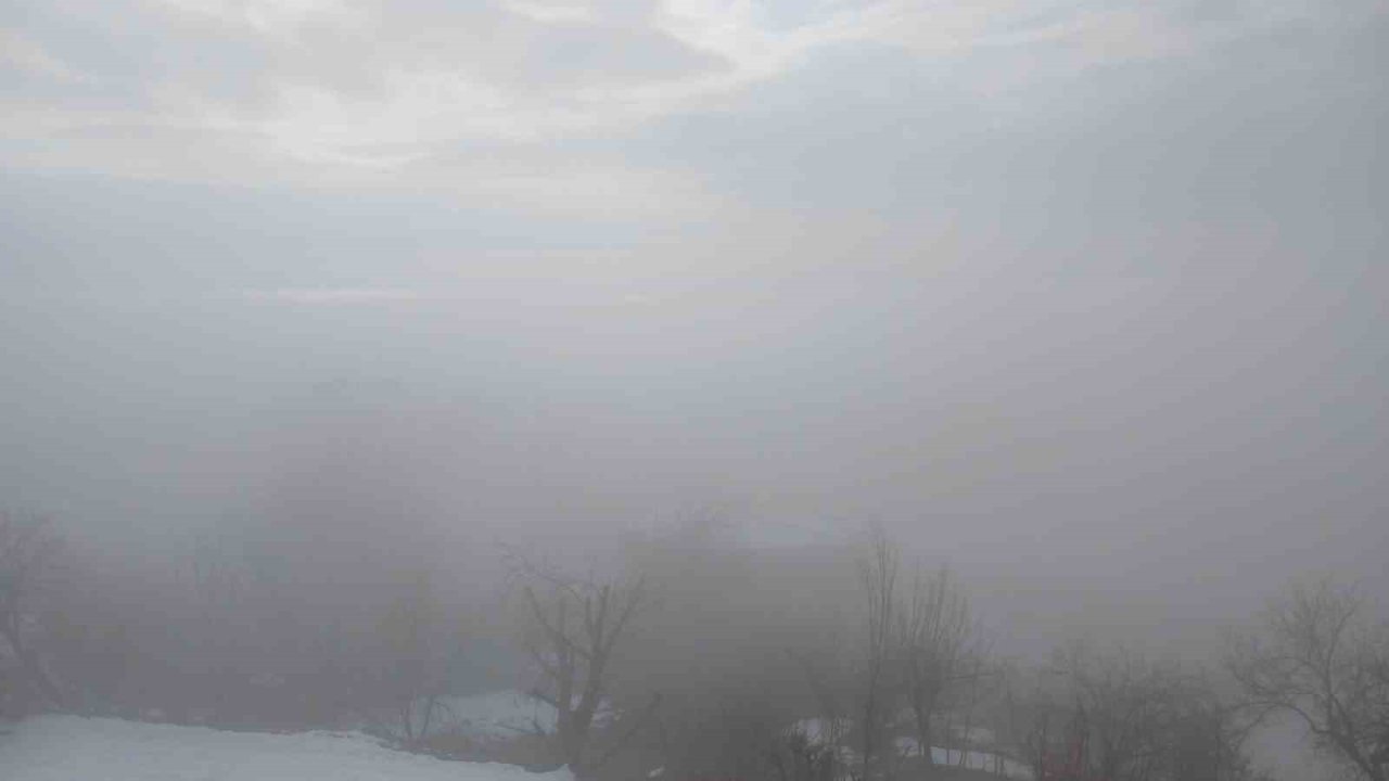 Kulp ilçesinde yoğun sis etkili oldu