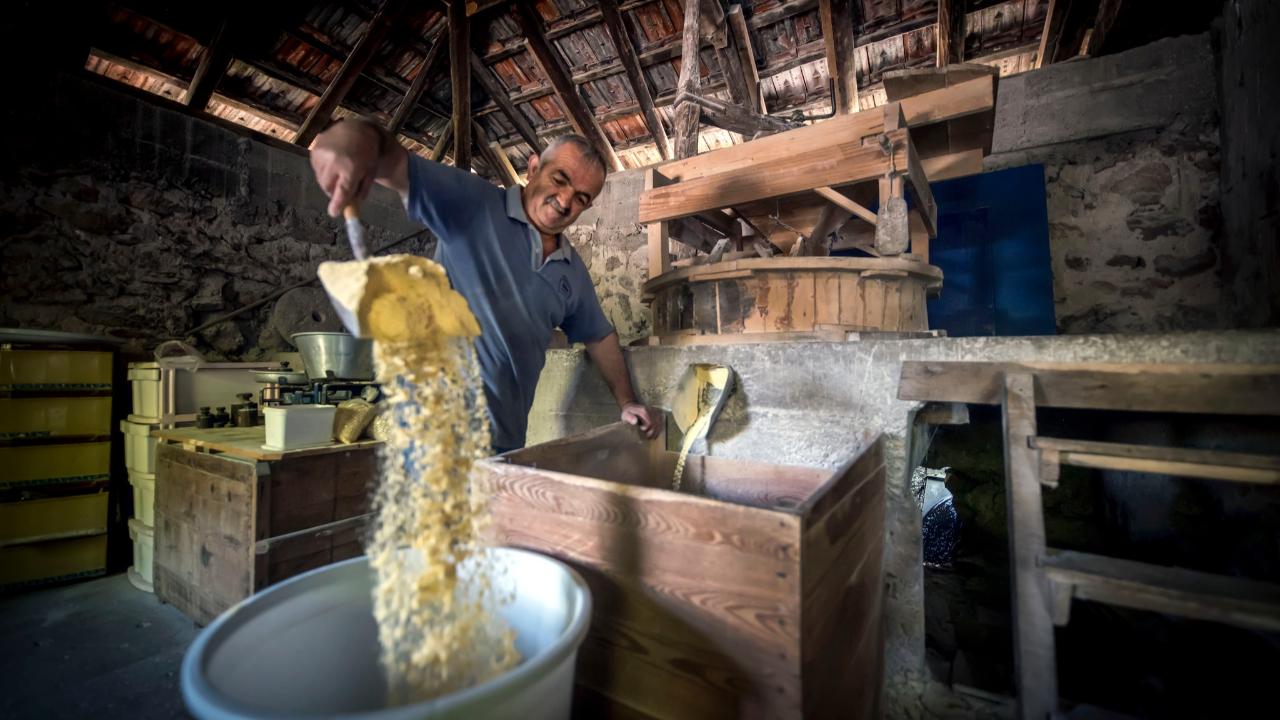 KÜRESEL KÜLTÜRÜN ZARARLARI