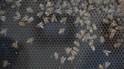 Manisa’da kırsal kalkınmaya 144 milyon TL’lik dev yatırım