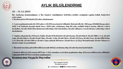 Mazıdağı’nda aralık ayı asayiş raporu açıklandı: 172 şahıs yakalandı