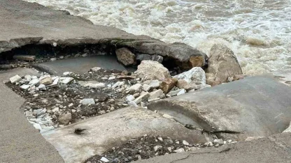 Mesire alanındaki hasarlı köprü tehlike saçıyor