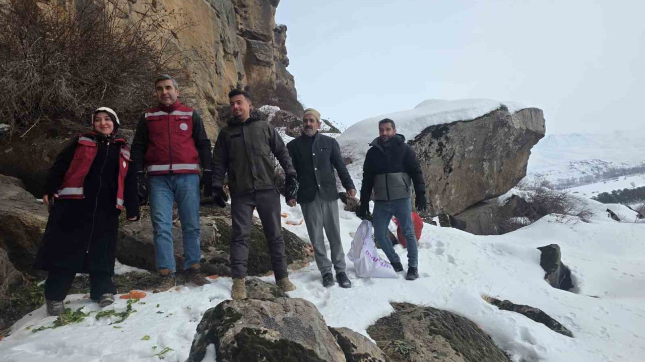 Muradiye’de yaban hayvanları için doğaya yem bırakıldı