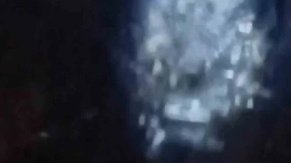 Muş’ta nehir kıyısında su samurları görüntülendi