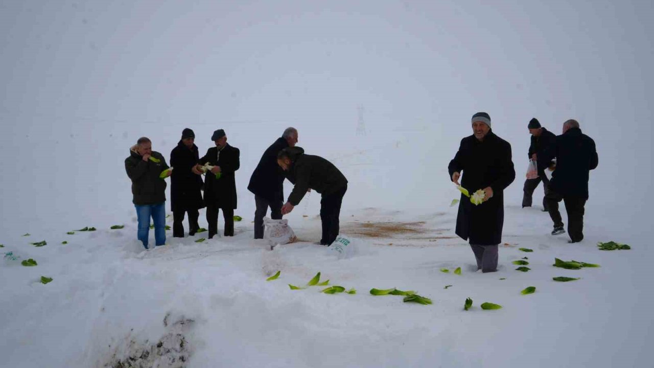 Muş’ta yaban hayvanları için doğaya yem bırakıldı