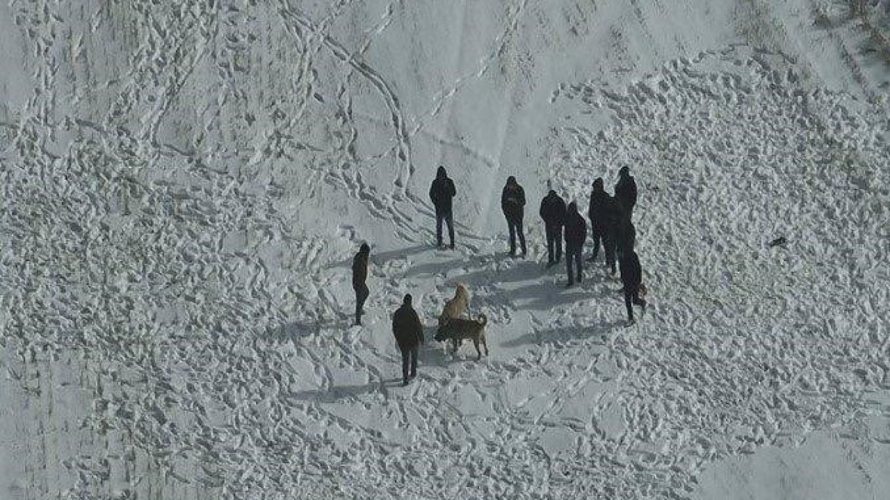 Nevşehir’de köpek dövüşüne jandarma baskını