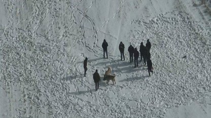 Nevşehir’de köpek dövüşüne jandarma baskını