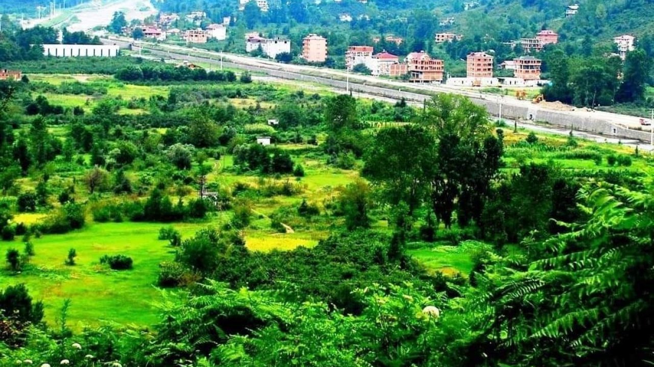 Öğretim Görevlisi Mehmet Akif Bal: "Karadere Vadisi acilen tarımsal üretim üssü haline getirilmeli"