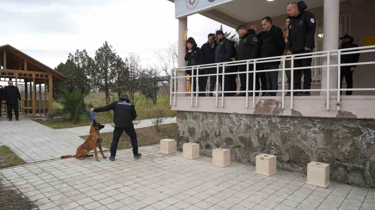 OMÜ’de yetiştirilen görev köpeği ’Pars’, Samsun Emniyeti’ne teslim edildi