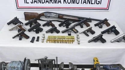 Ordu’da yasadışı silah operasyonu