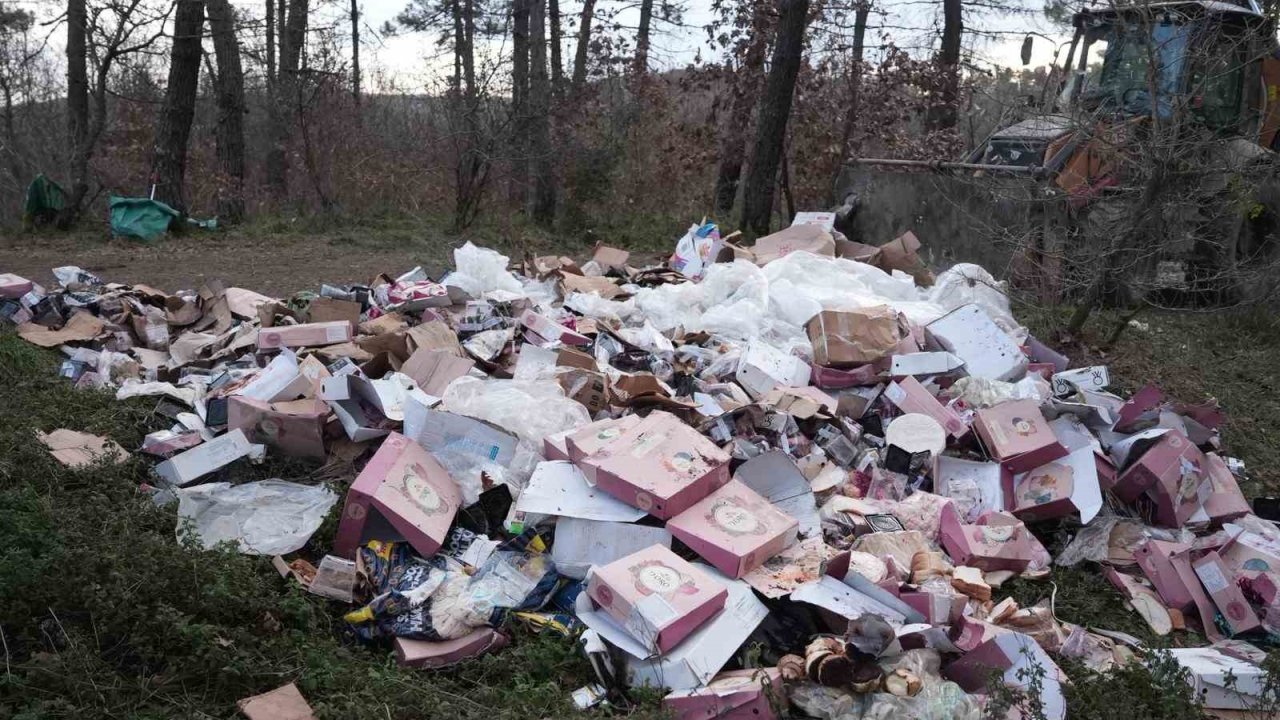 Ormanı çöplüğü çevirmişler