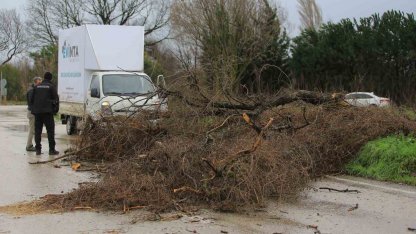 Osmangazi Belediyesi’nden lodosa karşı etkin müdahale