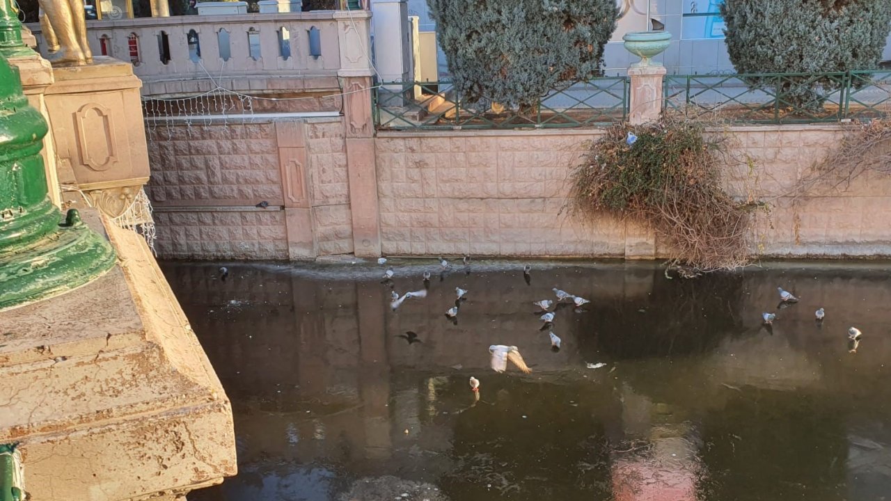 Porsuk’un donduğunun resmidir