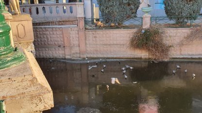 Porsuk’un donduğunun resmidir