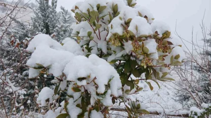 Pütürge’de kartpostallık görüntüler