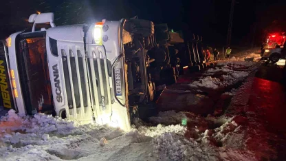 Refahiye’de hayvan yüklü tır kazası: 45 büyükbaş kurtarıldı