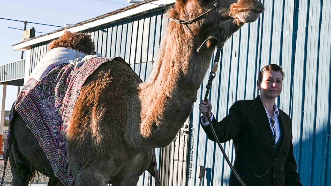 Sanatçı Mertcan Türkoğlu, Hi Jolly’nin Arizona’daki anıt mezarı başında anıldı