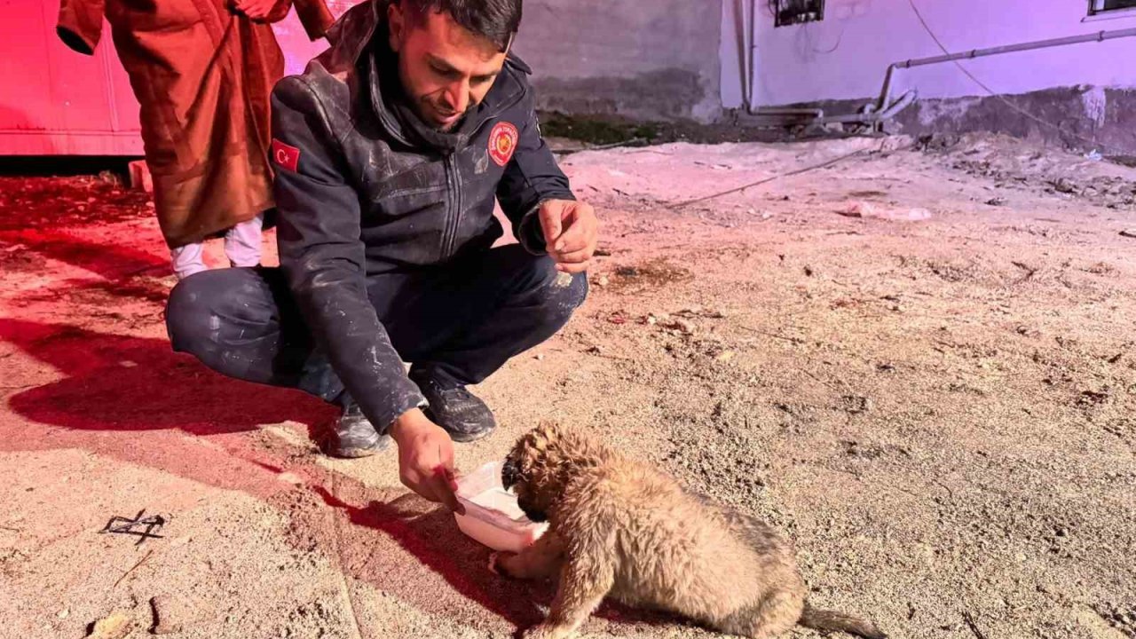 Şanlıurfa’da 20 metrelik sondaj kuyusuna düşen yavru köpek kurtarıldı