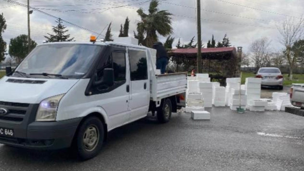 Sansun’da kaçak avlanan 2,6 ton mezgide el konuldu