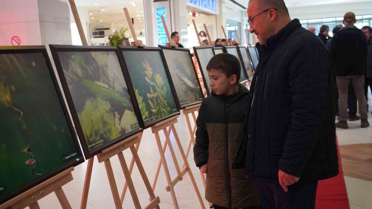 Sapanca Gölü fotoğrafları Gazze için umuda dönüştü: Geliri yetim ve öksüz çocuklara bağışlanacak