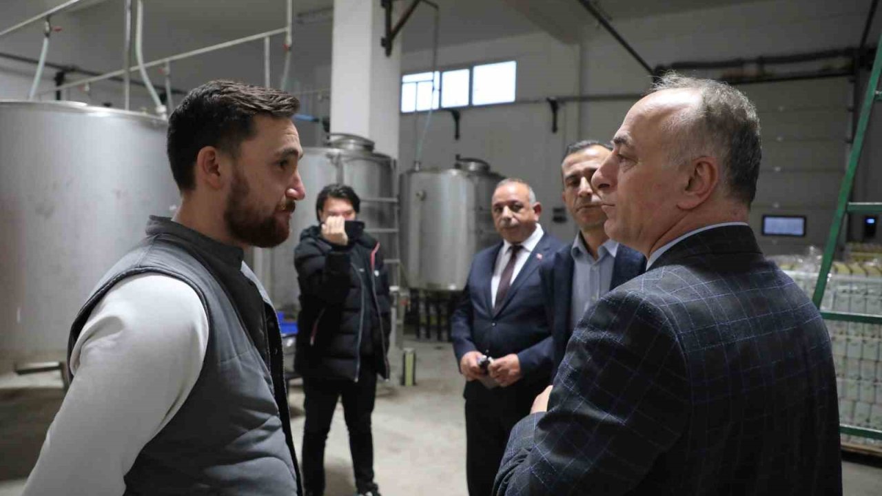 Sarıcakaya’da zeytin ve zeytinyağı üretimi hızla artıyor