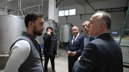 Sarıcakaya’da zeytin ve zeytinyağı üretimi hızla artıyor