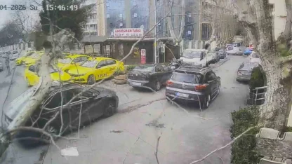 Sarıyer’de çınar ağacı otomobilin üzerine devrildi: O anlar kamerada