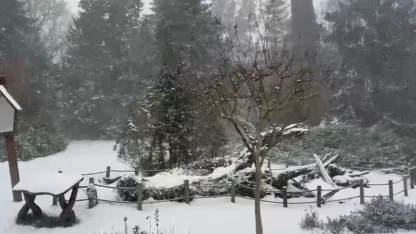 Sarıyer’in yüksek kesimleri karla kaplandı