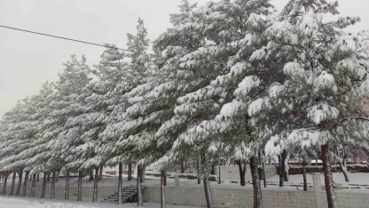 Sason’da yoğun kar yağışı hayatı olumsuz etkiliyor