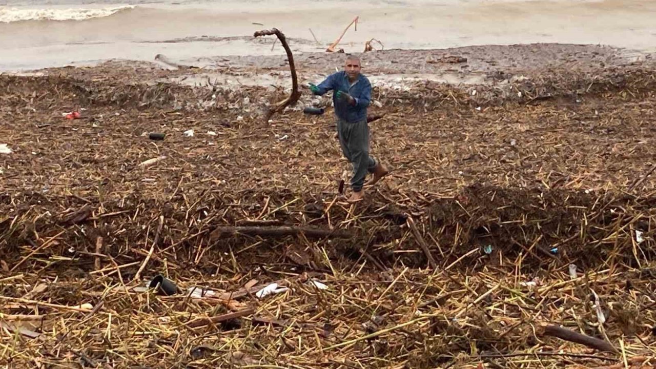 Sel sonrası deniz kahverengi oldu, sahiller odun doldu