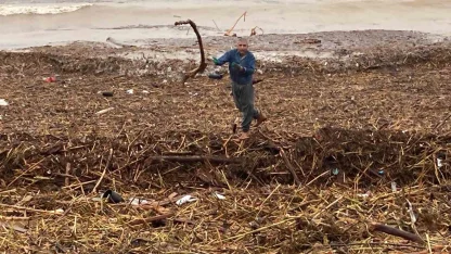 Sel sonrası deniz kahverengi oldu, sahiller odun doldu