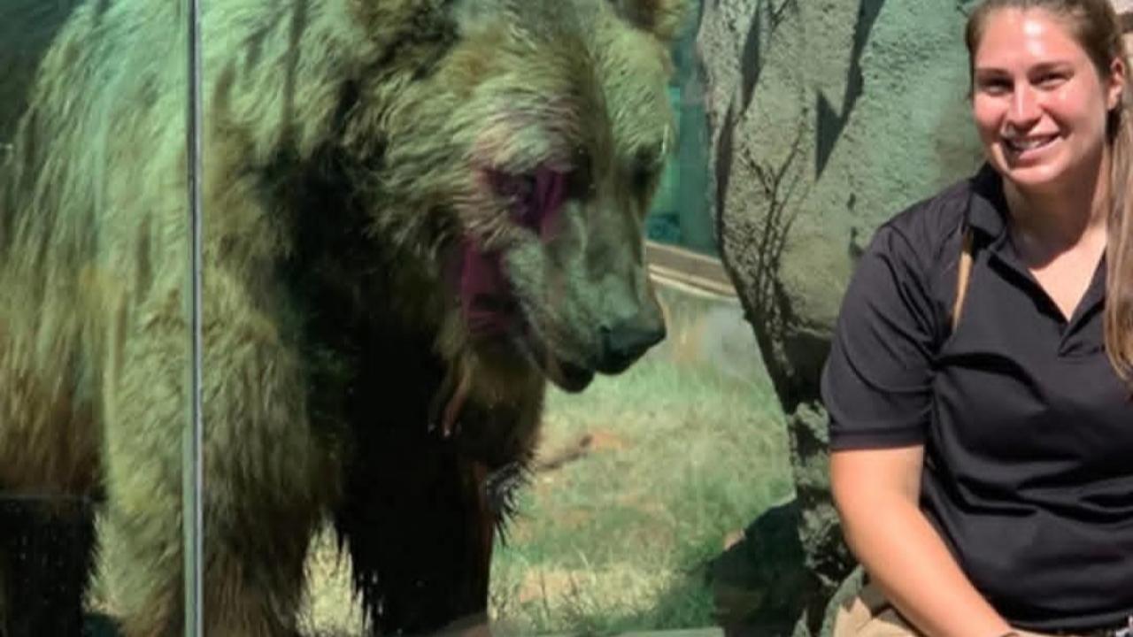 SEVMEK FEDAKARLIK İSTER