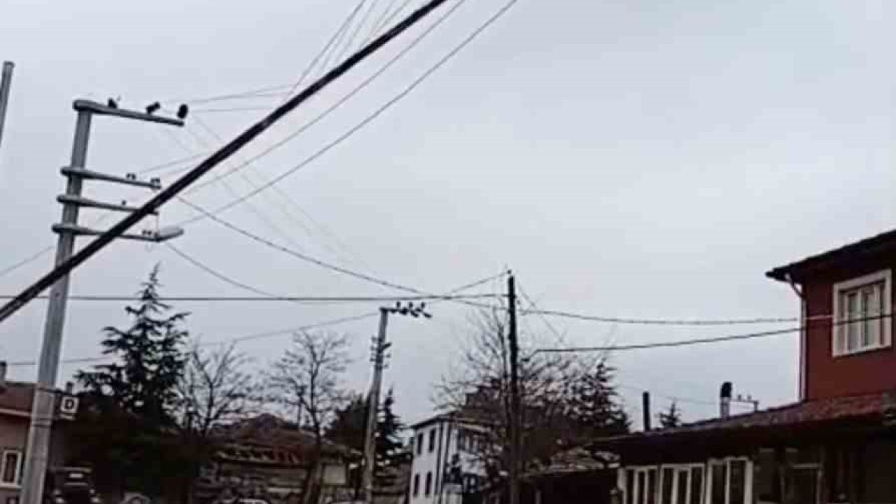 Seyitgazi’de dev bayrak direği elektrik tellerinin üzerine devrildi