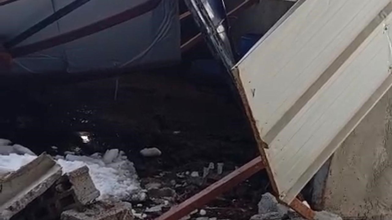 Siirt’te 5 buzağı çöken çatının altında kalarak telef oldu